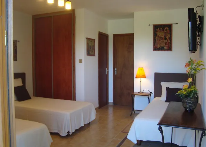Chambres d'hôtes Les Palmiers de la Cité